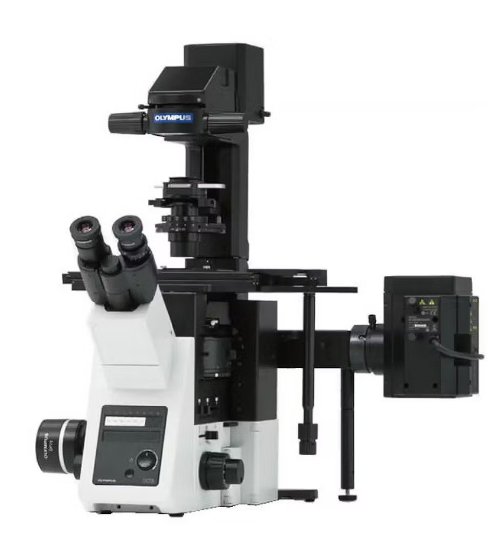 Inverted Fluorescence Microscope Olympus IX73