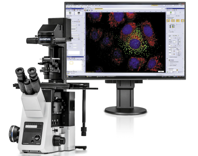Inverted Fluorescence Microscope IX73 
