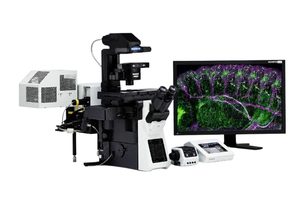 Confocal Laser Scanning Microscope FV1200 (UBL)